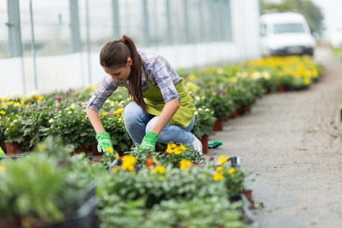 Person using a screen reader to browse accessible landscapers Wandsworth content
