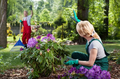 Professional tree lopping service in Wandsworth