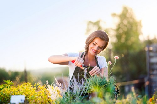Professional landscaper working on a garden