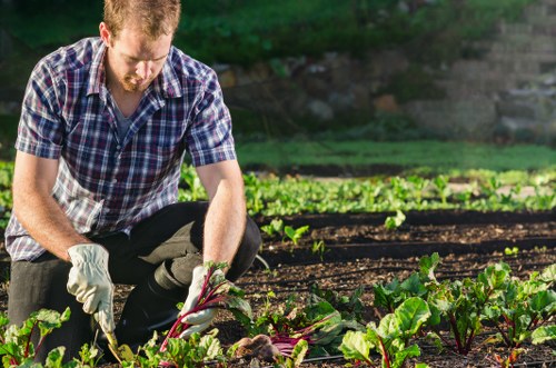 Professional gardener trimming hedges in a Wandsworth garden