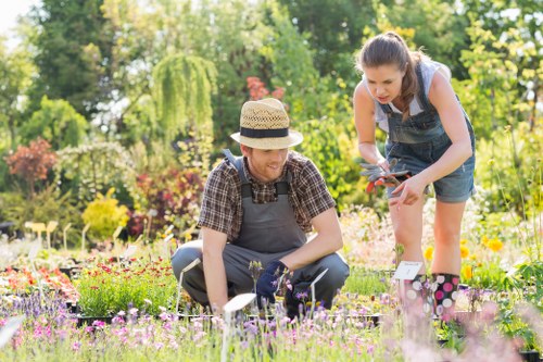 Comprehensive garden waste removal services