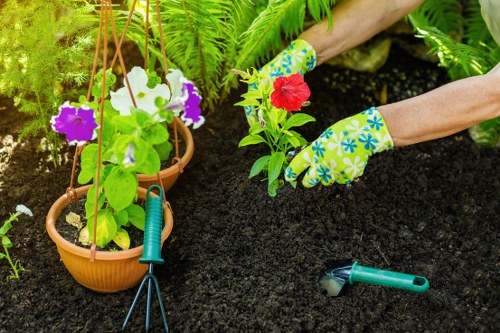 The image depicts a gardener planting a red flower into dark, well-tilled soil within a lush garden setting. To the left, two suspended flower pots with purple and white petunias hang from a wooden frame, adding vibrant colour contrasts to the scene. A variety of green foliage, including ferns and other leafy plants, provides a rich backdrop. On the right, a pair of gloved hands is carefully handling the flower, with gardening tools—a small hand rake and pruning shears—placed on the soil nearby. The garden appears to be a private backyard or landscaped outdoor space, with ample natural light suggesting a bright, clear day. This scene highlights careful planting and garden maintenance activities typical of professional landscaping services offered by Landscapers Wandsworth, with attention to plant health, layout, and overall garden aesthetics in the Wandsworth area. The natural tones of the soil, vibrant colours of the flowers, and lush greenery emphasize a well-maintained, inviting outdoor environment suitable for domestic or small-scale commercial landscaping projects.
