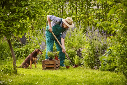 A person wearing a wide-brimmed straw hat, a checked shirt, and teal overalls is engaged in gardening in a lush, green backyard, using a small hand tool to tend to a flower bed or plant area. The garden features a well-maintained grassy lawn with vibrant green blades, bordered by a variety of bushes and shrubs, some with purple flowers. A wooden garden planter box with potted plants is positioned on the grass nearby. A brown dog, sitting attentively, is beside the gardener, watching the activity. The background includes tall trees with leafy foliage, creating a shaded and natural environment typical of outdoor garden spaces in Wandsworth, London. The scene suggests careful, ongoing garden maintenance in a residential outdoor area with a mix of natural plantings and cultivated features, consistent with high-quality landscaping and gardening services offered by Landscapers Wandsworth.