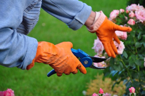 A close-up of a gardener's hands wearing bright orange gardening gloves, using small pruning shears to trim pink flowering shrubbery in a well-maintained garden. The background shows a lush, green lawn and additional plants, suggesting a tidy, landscaped outdoor space typical of residential gardens in Wandsworth. The gardener's attire includes a blue denim shirt, and the scene appears to be outdoors on a clear day. This image highlights professional gardening tasks such as pruning and shrub maintenance, aligning with services offered by Landscapers Wandsworth for garden care and landscape improvements in the local area.