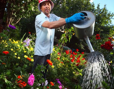 Eco-friendly garden with native plants and efficient irrigation