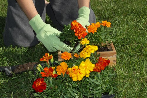 Eco-friendly hedge maintenance practices in a Wandsworth garden