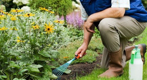 Healthy garden plants and flowers in a Wandsworth outdoor space
