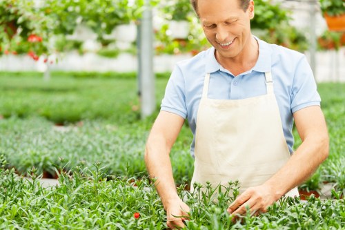 Professional landscaper planning a garden design