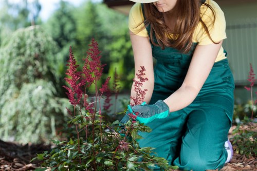 In a well-maintained outdoor garden, a woman wearing teal gardening overalls and blue gloves is kneeling beside a flower bed, tending to pink and purple flowering plants. The garden features a lush green lawn with dense shrubbery and mature trees in the background, creating a vibrant and natural setting. The flower bed is edged with dark mulch, providing a clear contrast to the colorful blooms and healthy green foliage. The scene is illuminated by natural daylight, suggesting a mild weather condition, and the background includes a wooden outdoor structure, possibly a shed or gazebo, partially visible behind the greenery. This outdoor scene reflects a spacious, landscaped garden typical of residential properties in Wandsworth, with carefully cultivated plant borders that require regular maintenance—services often provided by landscapers in the area. The woman’s attentive gardening action emphasizes the importance of ongoing cultivation and care for garden health, supporting the gardening services offered by Landscapers Wandsworth in maintaining attractive, vibrant outdoor spaces.