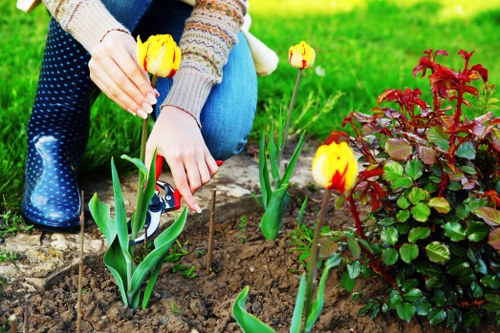 A close-up view of a person planting yellow and red tulips in a garden bed with dark rich soil, surrounded by vibrant green grass. The individual is wearing blue jeans and a patterned sweater, and is using their hands to position the flowers carefully in the soil. To the right of the tulips, there is a bush with deep red and green foliage, adding colour contrast to the garden scene. The background features neatly maintained lawn area typical of landscaped outdoor spaces in Wandsworth, with natural daylight highlighting the fresh, healthy plants. This well-organised garden layout suggests ongoing gardening work, possibly part of a professional landscaping service by Landscapers Wandsworth, aimed at enhancing outdoor aesthetics and plant care in residential gardens or communal outdoor spaces.