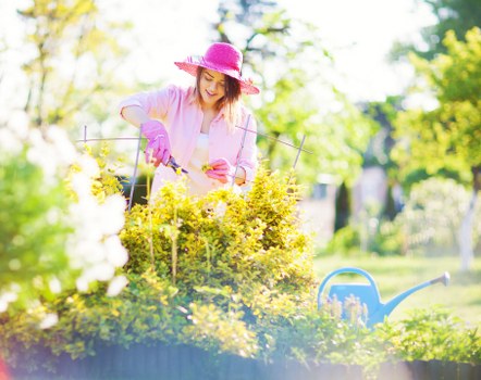 In a well-maintained garden, a woman wearing a pink sunhat and gardening gloves is tending to vibrant yellow flowering plants, possibly shrubs or small bushes, within a neatly bordered flower bed. The garden features a lush green lawn with dense, healthy grass in the foreground, bordered by paved pathways made of grey stone or concrete. Behind her, there are taller trees with bright green and yellow leaves, indicating a spring or summer setting, and a background of more garden foliage and possibly a fence or hedge separating the outdoor space from neighboring areas. To the right of the woman, a blue watering can rests on the grass, suggesting ongoing garden care. The scene is bathed in natural sunlight, casting soft shadows, and the overall environment appears peaceful and well-tended, consistent with professional gardening services provided by Landscapers Wandsworth in the SW postcode area, illustrating typical elements of a landscaped back garden in Wandsworth.
