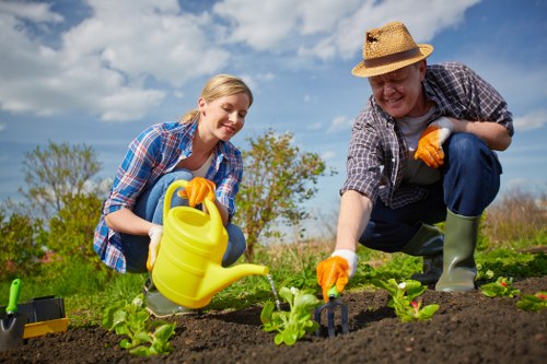 A young woman and an older man are working together in a backyard garden during daylight hours, tending to small, young vegetable plants that are growing in freshly turned dark soil. The woman, on the left, has blonde hair and is smiling as she waters the plants with a yellow watering can while wearing a blue plaid shirt and gardening gloves. The man, on the right, is wearing a straw hat, a plaid shirt, and green rubber boots, and appears to be gently planting or inspecting the seedlings. The garden features a tidy arrangement of young leafy green vegetables, with a background of a clear blue sky dotted with a few white clouds, and some distant trees and shrubbery, indicating a well-maintained outdoor space typical of suburban gardens in Wandsworth. The scene conveys a collaborative effort in outdoor gardening, aligning with services offered by Landscapers Wandsworth, including garden planting, lawn care, and maintenance, in a natural, vibrant setting suitable for enhancing residential outdoor spaces in London.