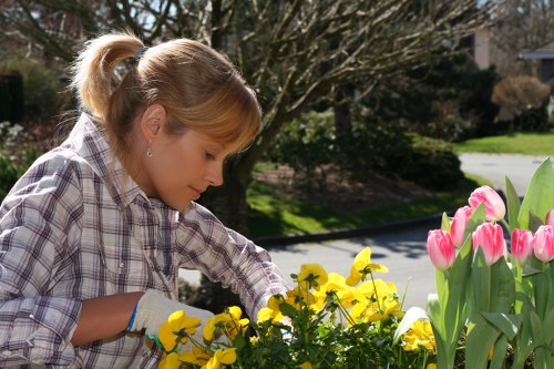 Professional gardener pruning shrubs in a Wandsworth garden