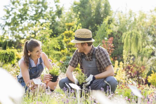 A young woman and a young man are working together in a well-maintained garden, surrounded by lush greenery and colourful flowering plants. The woman, wearing a blue denim apron and holding a small potted plant, is smiling as she engages with the man. The man, dressed in a checkered shirt, grey apron, and gardening gloves, is kneeling on the grass and appears to be potting or planting. The garden features a neatly trimmed lawn with dense, green grass in the foreground, and a variety of shrubs, flowering plants, and small trees provide a vibrant backdrop. In the background, tall trees with fresh green foliage and a bright, slightly overcast sky suggest a typical day in late spring or summer in Wandsworth, London. The scene emphasizes outdoor horticultural activity, likely part of garden maintenance or landscaping services offered by Landscapers Wandsworth, and highlights a natural, inviting outdoor environment suitable for gardening projects.