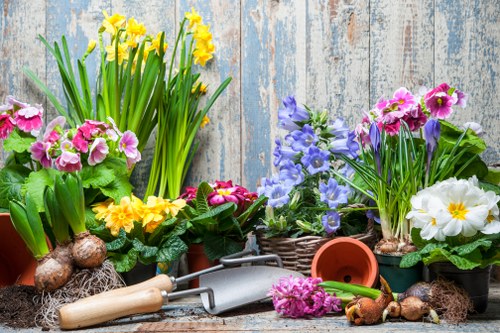 A collection of flowering plants in various pots arranged outdoors against a weathered wooden backdrop, including yellow daffodils, pink primroses, purple and white primulas, and other spring blooms. The plants display lush green foliage and vibrant blossoms, with some pots partially obscured by gardening tools such as a trowel and a small fork, as well as bulbs and soil around the base. The scene suggests a well-maintained garden space suitable for planting, lawn care, and outdoor landscaping activities in Wandsworth, with an emphasis on seasonal flower care typical of local gardening services by Landscapers Wandsworth.